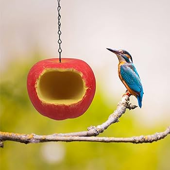 Amazon.co.jp: リンゴ 鳥 餌材 リンゴ 材 型 フィーダー バード
